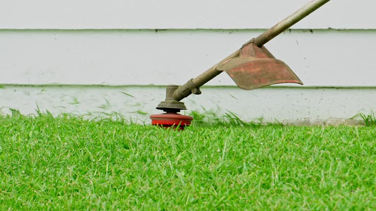 Best Artificial Turf Installation  in Heavener, OK
