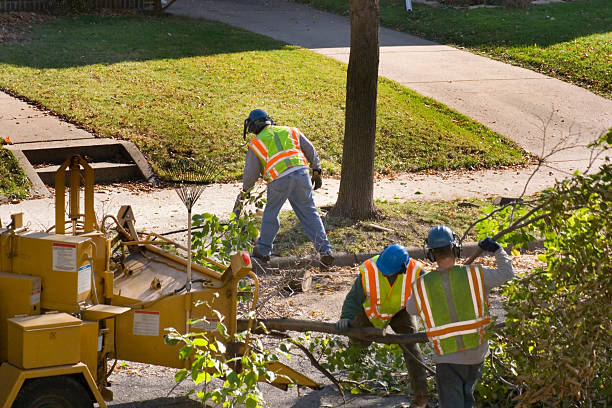 Best Tree Preservation Services  in Heavener, OK